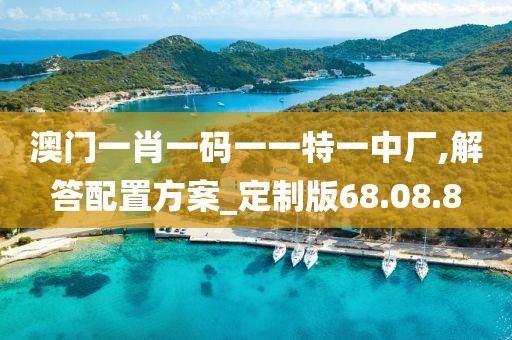 澳门一肖一码一一特一中厂,解答配置方案_定制版68.08.8