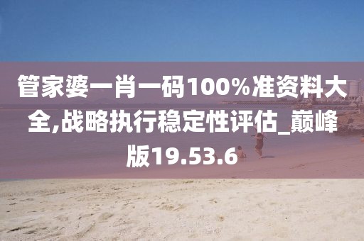 管家婆一肖一码100%准资料大全,战略执行稳定性评估_巅峰版19.53.6
