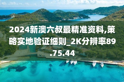 2024新澳六叔最精准资料,策略实地验证细则_2K分辨率89.75.44