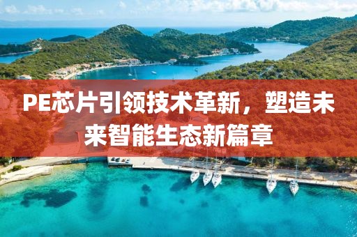PE芯片引领技术革新，塑造未来智能生态新篇章