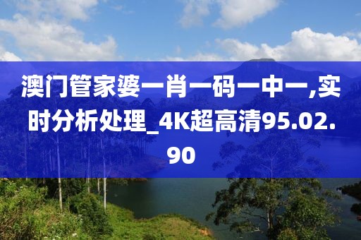 澳门管家婆一肖一码一中一,实时分析处理_4K超高清95.02.90