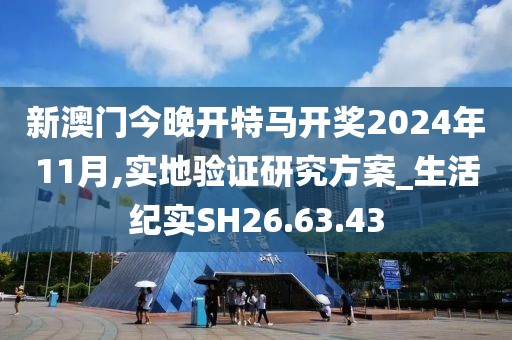 新澳门今晚开特马开奖2024年11月,实地验证研究方案_生活纪实SH26.63.43