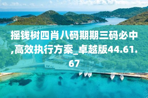 摇钱树四肖八码期期三码必中,高效执行方案_卓越版44.61.67