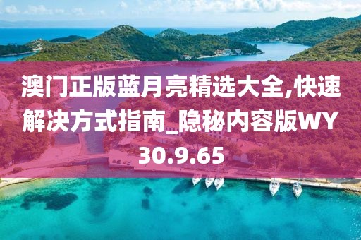 澳门正版蓝月亮精选大全,快速解决方式指南_隐秘内容版WY30.9.65