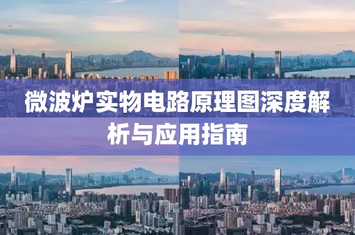 微波炉实物电路原理图深度解析与应用指南