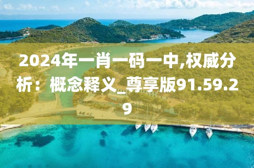 2024年一肖一码一中,权威分析：概念释义_尊享版91.59.29
