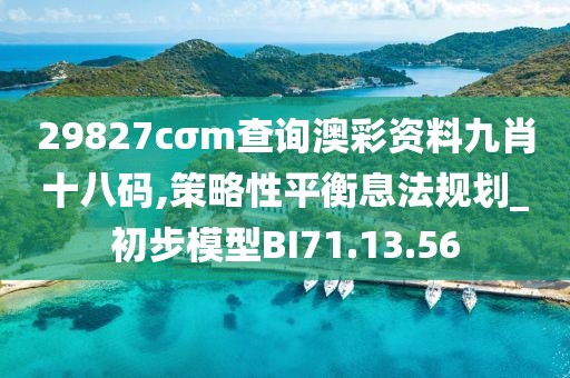 29827cσm查询澳彩资料九肖十八码,策略性平衡息法规划_初步模型BI71.13.56