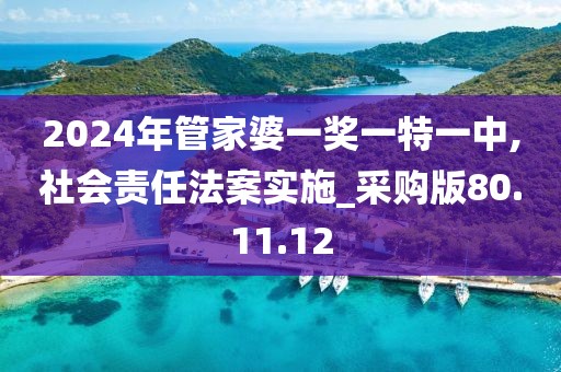 2024年管家婆一奖一特一中,社会责任法案实施_采购版80.11.12