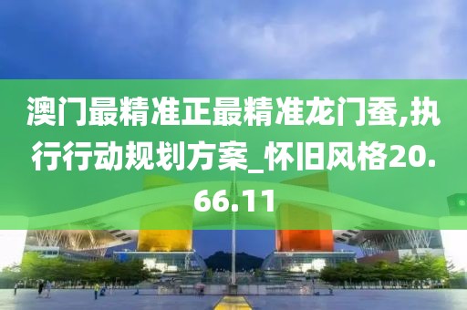 澳门最精准正最精准龙门蚕,执行行动规划方案_怀旧风格20.66.11