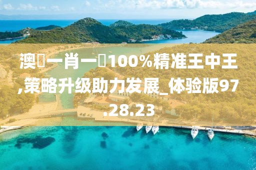 澳門一肖一碼100%精准王中王,策略升级助力发展_体验版97.28.23