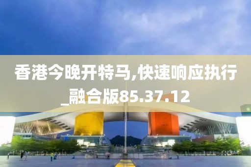 香港今晚开特马,快速响应执行_融合版85.37.12