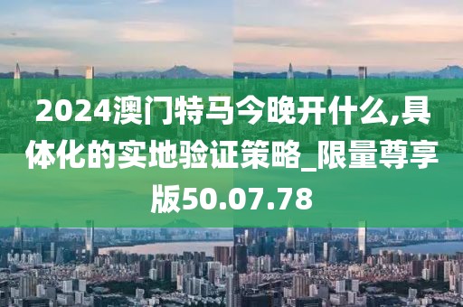 2024澳门特马今晚开什么,具体化的实地验证策略_限量尊享版50.07.78
