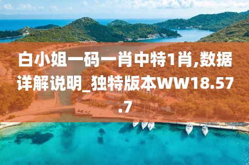 白小姐一码一肖中特1肖,数据详解说明_独特版本WW18.57.7