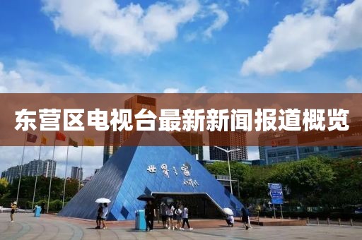 东营区电视台最新新闻报道概览