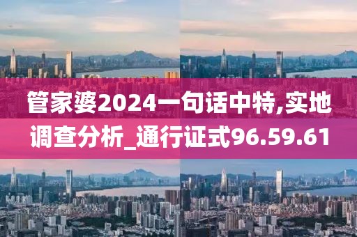 管家婆2024一句话中特,实地调查分析_通行证式96.59.61
