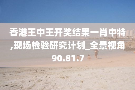 香港王中王开奖结果一肖中特,现场检验研究计划_全景视角90.81.7