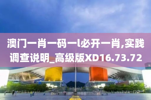澳门一肖一码一l必开一肖,实践调查说明_高级版XD16.73.72