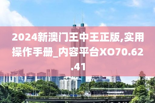2024新澳门王中王正版,实用操作手册_内容平台XO70.62.41