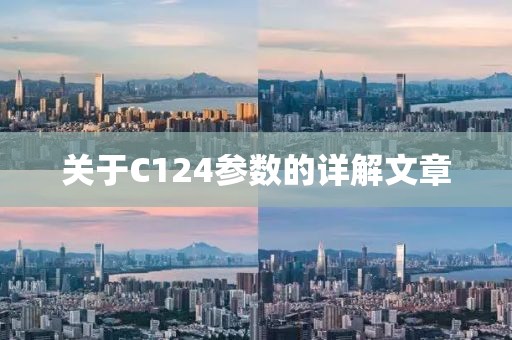 关于C124参数的详解文章