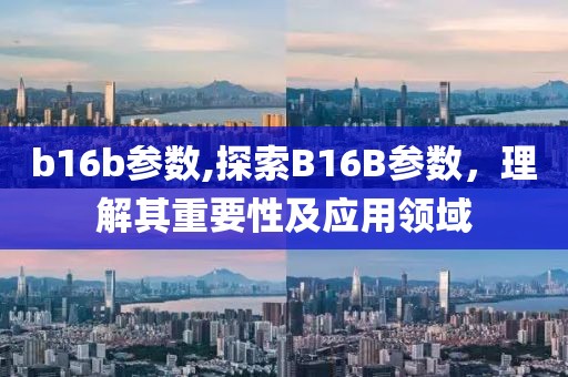 b16b参数,探索B16B参数，理解其重要性及应用领域