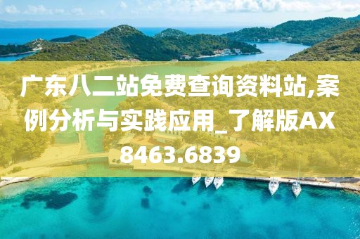 广东八二站免费查询资料站,案例分析与实践应用_了解版AX8463.6839