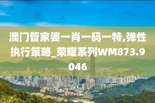 澳门管家婆一肖一码一特,弹性执行策略_荣耀系列WM873.9046