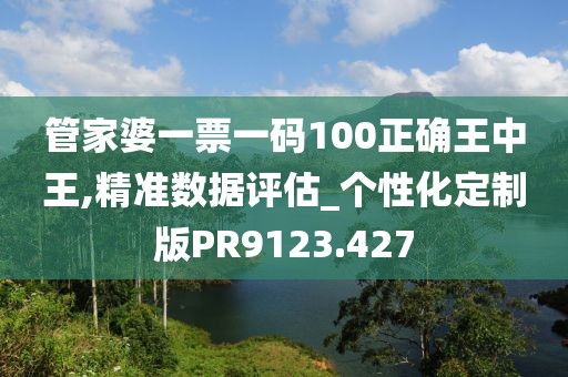 管家婆一票一码100正确王中王,精准数据评估_个性化定制版PR9123.427