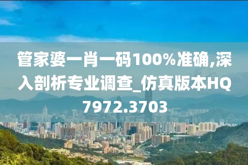 管家婆一肖一码100%准确,深入剖析专业调查_仿真版本HQ7972.3703