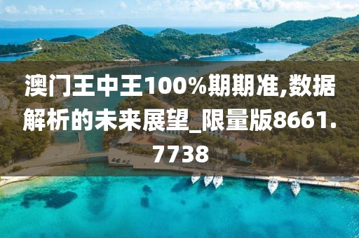 澳门王中王100%期期准,数据解析的未来展望_限量版8661.7738