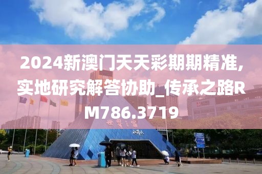 2024新澳门天天彩期期精准,实地研究解答协助_传承之路RM786.3719