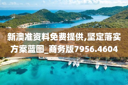 新澳准资料免费提供,坚定落实方案蓝图_商务版7956.4604
