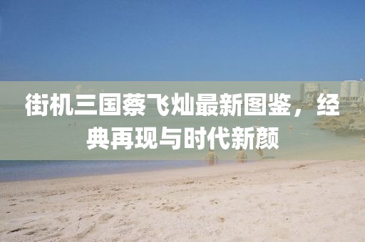 街机三国蔡飞灿最新图鉴，经典再现与时代新颜