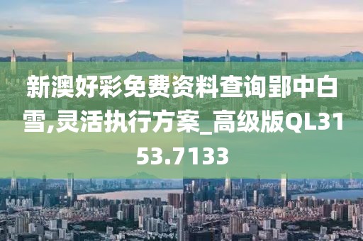 新澳好彩免费资料查询郢中白雪,灵活执行方案_高级版QL3153.7133