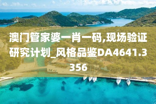 澳门管家婆一肖一码,现场验证研究计划_风格品鉴DA4641.3356