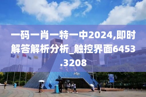 一码一肖一特一中2024,即时解答解析分析_触控界面6453.3208