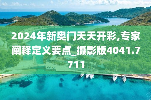 2024年新奥门天天开彩,专家阐释定义要点_摄影版4041.7711