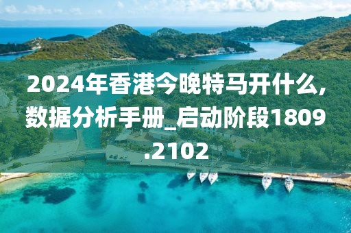2024年香港今晚特马开什么,数据分析手册_启动阶段1809.2102