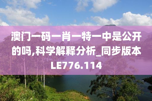 澳门一码一肖一特一中是公开的吗,科学解释分析_同步版本LE776.114