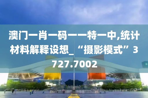 澳门一肖一码一一特一中,统计材料解释设想_“摄影模式”3727.7002