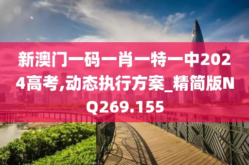 新澳门一码一肖一特一中2024高考,动态执行方案_精简版NQ269.155