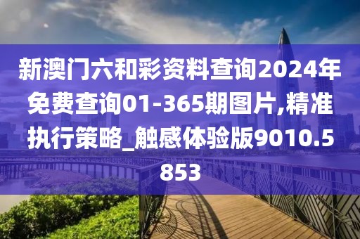 新澳门六和彩资料查询2024年免费查询01-365期图片,精准执行策略_触感体验版9010.5853