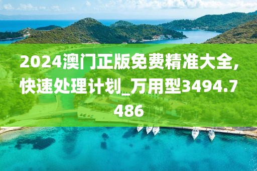 2024澳门正版免费精准大全,快速处理计划_万用型3494.7486