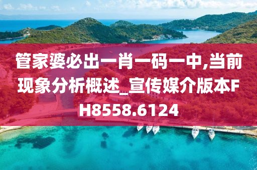 管家婆必出一肖一码一中,当前现象分析概述_宣传媒介版本FH8558.6124