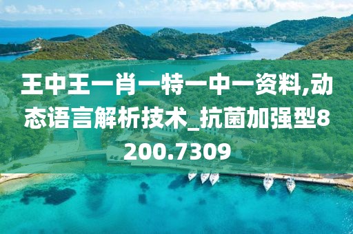 王中王一肖一特一中一资料,动态语言解析技术_抗菌加强型8200.7309