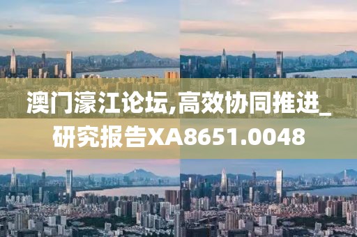 澳门濠江论坛,高效协同推进_研究报告XA8651.0048