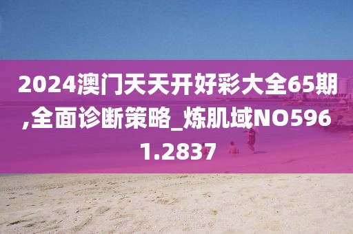 2024澳门天天开好彩大全65期,全面诊断策略_炼肌域NO5961.2837