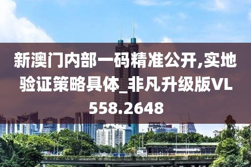 新澳门内部一码精准公开,实地验证策略具体_非凡升级版VL558.2648