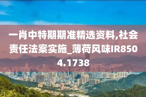 一肖中特期期准精选资料,社会责任法案实施_薄荷风味IR8504.1738
