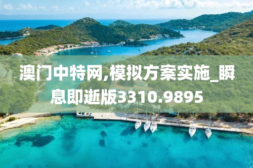 澳门中特网,模拟方案实施_瞬息即逝版3310.9895