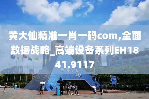 黄大仙精准一肖一码com,全面数据战略_高端设备系列EH1841.9117